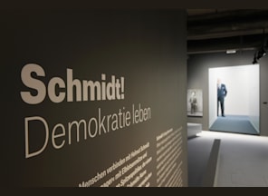 Ausstellung „Schmidt! Demokratie leben“
