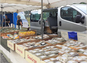 Jahrmarkt auf dem Marktplatz