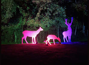 SPO funkelt - Lichterträume im Tierpark