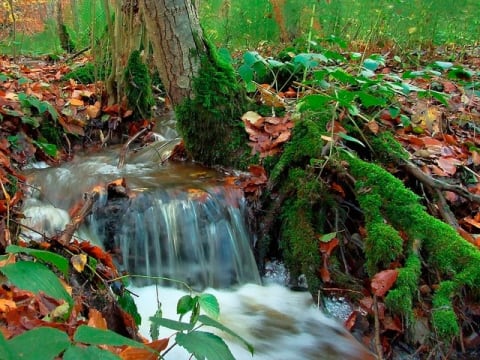 Unterwegs im Schleswiger Tiergarten Unterwegs im Schleswiger Tiergarten