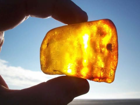 Workshop: Strandfunde bestimmen mit anschließendem Bernsteinschleifen Workshop: Strandfunde bestimmen mit anschließendem Bernsteinschleifen