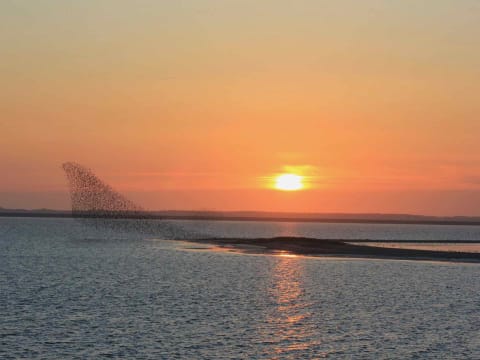 Literarische Wanderung bei Sonnenuntergang auf Nordstrand Literarische Wanderung bei Sonnenuntergang auf Nordstrand