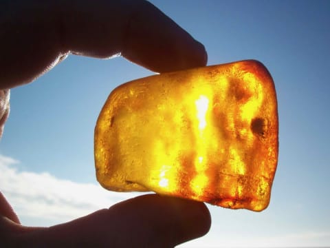 Workshop: Bernstein und Strandfunde in Hörnum/Sylt Workshop: Bernstein und Strandfunde in Hörnum/Sylt