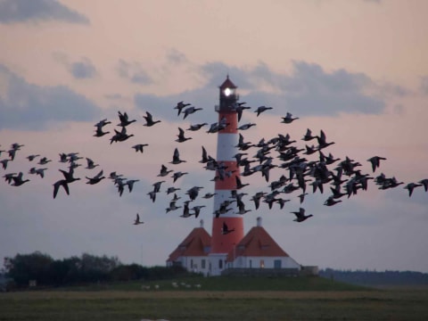 Nachtwanderung: Durch den Nationalpark zum Leuchtturm