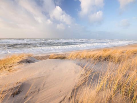 Führung: Funde am Rantumer Strand auf Sylt Führung: Funde am Rantumer Strand auf Sylt