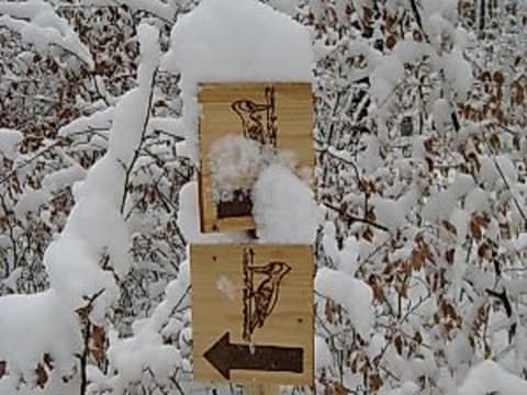 Draußt vom Walde komm ich her ...! – Nikolausfeier im Wald für Familien mit Kindern ab 4 Jahren