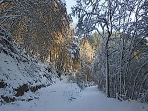 Winterwanderung mit der Ortsgruppe Antweiler