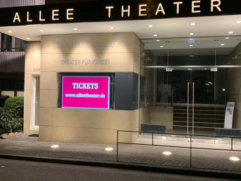 Der Froschkönig Der Froschkönig