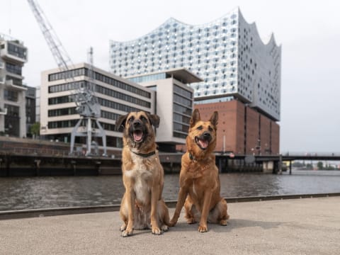 Stadtpfoten - die Hundemesse Stadtpfoten - die Hundemesse