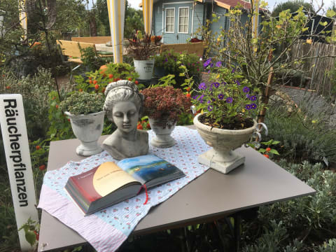 Führung mit Frühstück im SANA.Munda Heilkräutergarten