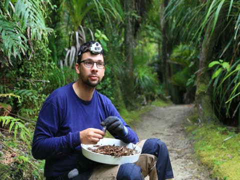 Meister der Netze - Warum sind Spinnen wichtig? Meister der Netze - Warum sind Spinnen wichtig?
