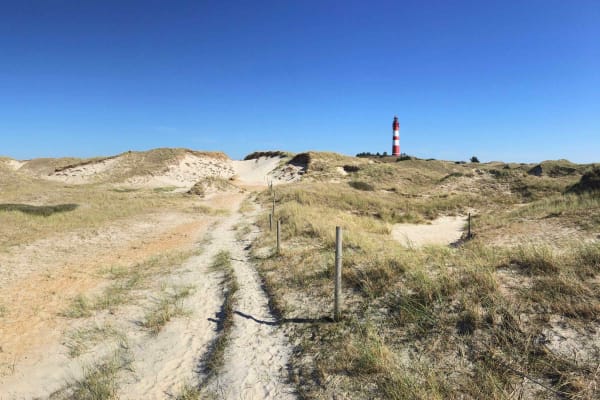 Führung: Amrums Dünen erleben