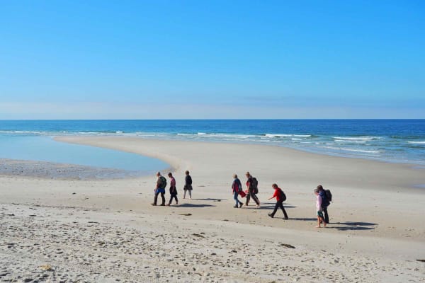 Führung: Den Strand in Hörnum auf Sylt entdecken Führung: Den Strand in Hörnum auf Sylt entdecken