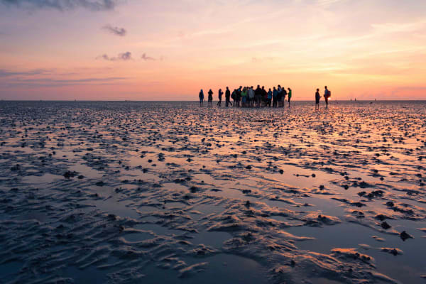 Wattwanderung in den Sonnenuntergang vor Büsum Wattwanderung in den Sonnenuntergang vor Büsum