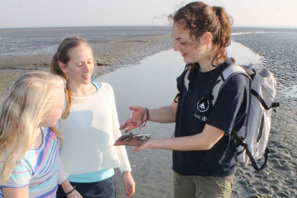 Lange Wattwanderung von Büsum bis Stinteck Lange Wattwanderung von Büsum bis Stinteck