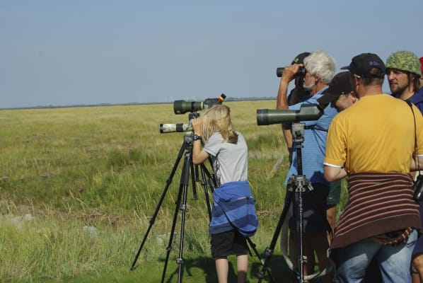 Der Blick vom Deich: Die Natur des Nationalparks Der Blick vom Deich: Die Natur des Nationalparks