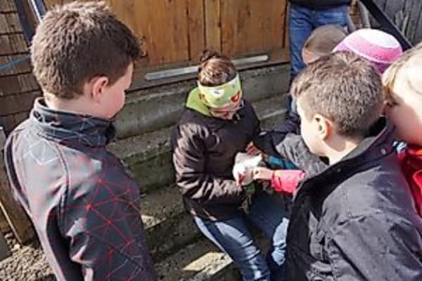 Kinderhofführung auf dem Arche-Hof Birk