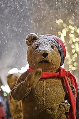 Zauberhafter Weihnachts- und Märchenzug - Erlebnis-Weihnachtsmarkt