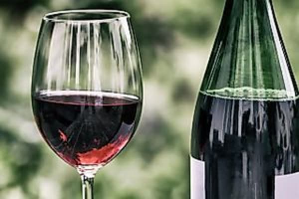 Weintastings in der FRIDA