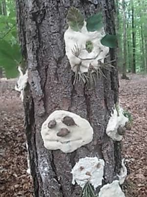 Waldspielgruppe im Herbst – für Familien mit Kindern von 3 bis 5 Jahren