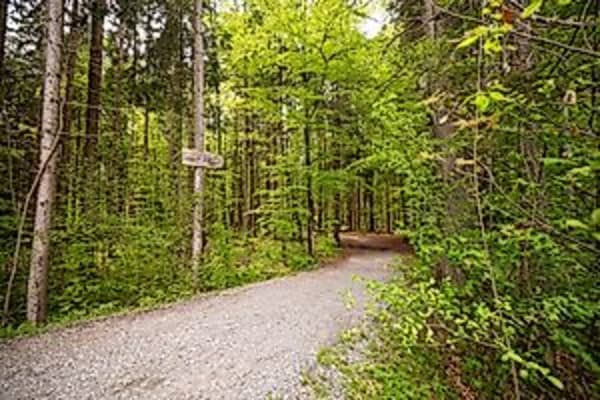 Wald.Luft.Baden im Premium-Heilklima