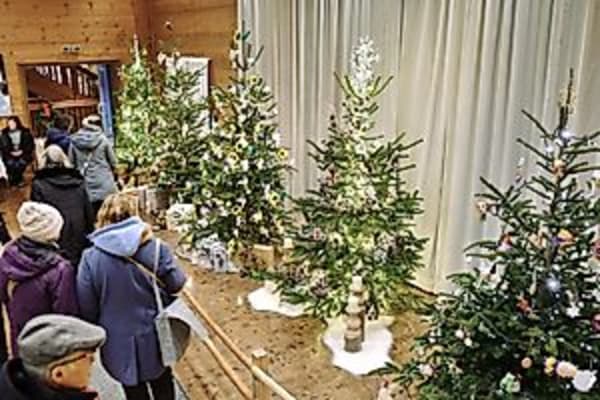 Christbaumausstellung - Erlebnis-Weihnachtsmarkt
