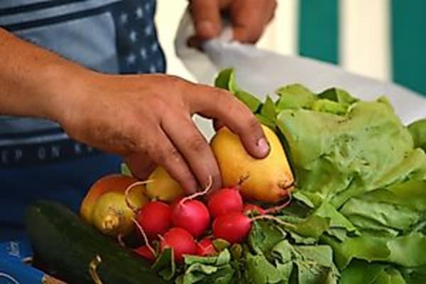 Bio- und Bauernmarkt Herbst