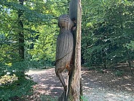 Wilder Wald – Ein lehrreicher Mitmach-Nachmittag für Familien mit Kindern ab 3 Jahren