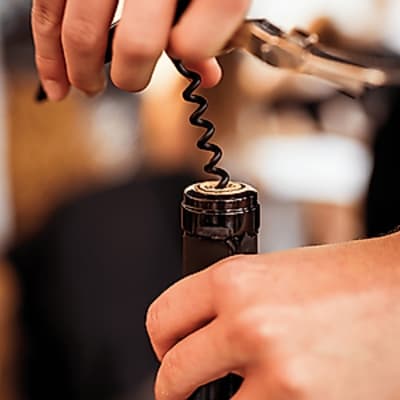Weinseminar: Käse & Wein