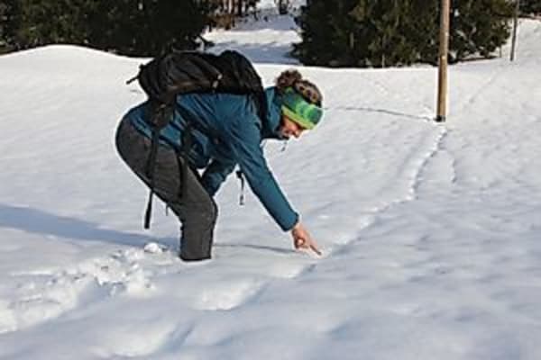 Spurensuche unter den Schwingen des Steinadlers - Winterwanderung- LBV