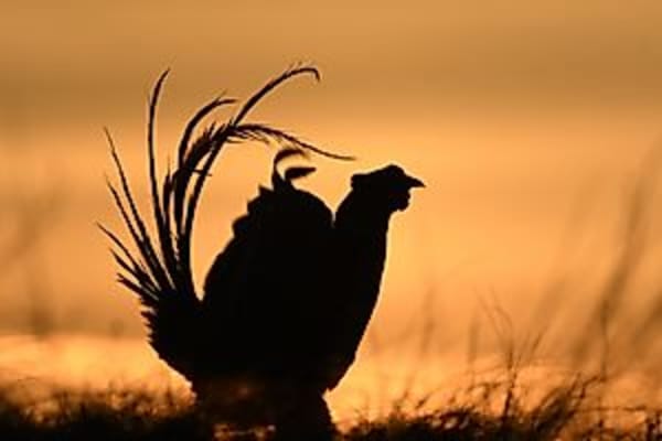 Deutschlands PARADIESE - Wildnis im Wandel