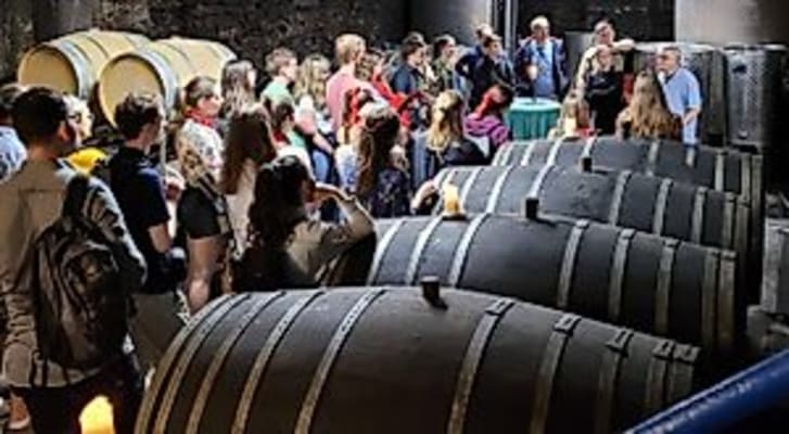 Weinberg-Schnuppertour im Weingut Storck