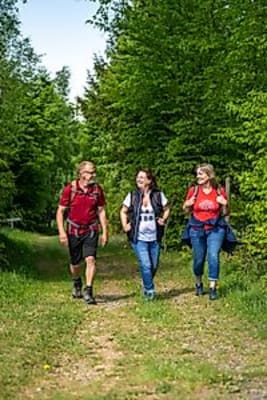 Wanderung | Wasser- und Felsenweg