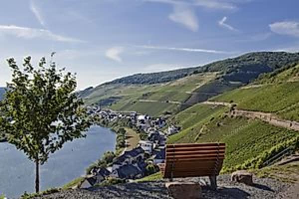 Wünschelrouten 2025- Aussichtsreiche Wein&Kulinarik Wanderung