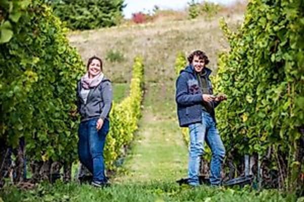 Herzhaft Herbstlich im Weingut Stefan Müller