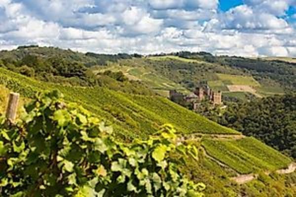 Weinprobe im Oberweseler Weinberg