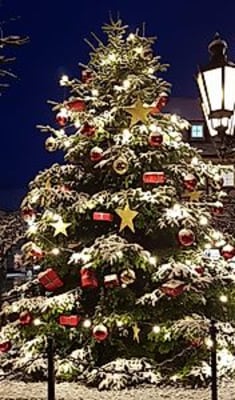 Weihnachtsmarkt | Weihnachtsbaumverkauf