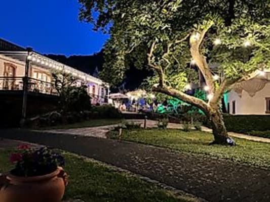 Sommerfest im Weingut C.A. Haussmann