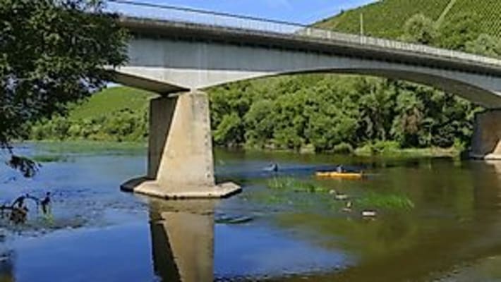 Geführtes Kanuerlebnis auf dem Wiltinger Saarbogen