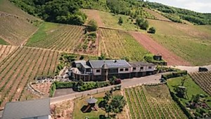 Yoga meets Wine