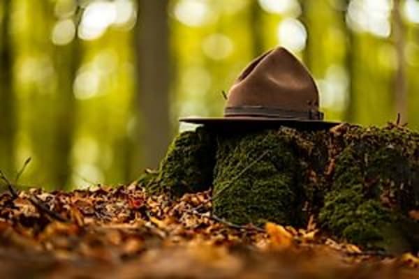 Rangertour Wahlerscheid im Nationalpark Eifel