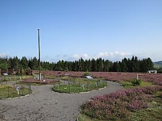 Natur-Schutz-Treffen Wacholderwacht Osteifel