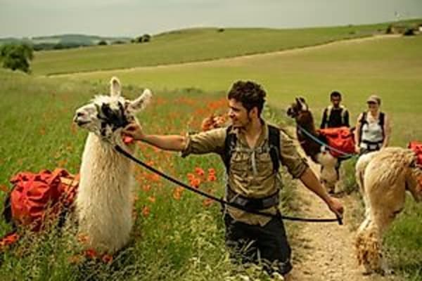 Lama Vollmondwanderung (Gruppentour)