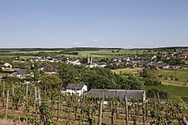 Saisonabschluss der Straußwirtschaft im Weingut Alois Boesen