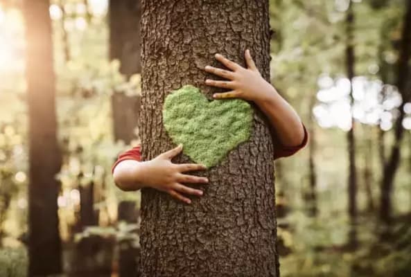 BNE-Fortbildung: Philosophieren mit Kindern über die lebendige Natur BNE-Fortbildung: Philosophieren mit Kindern über die lebendige Natur