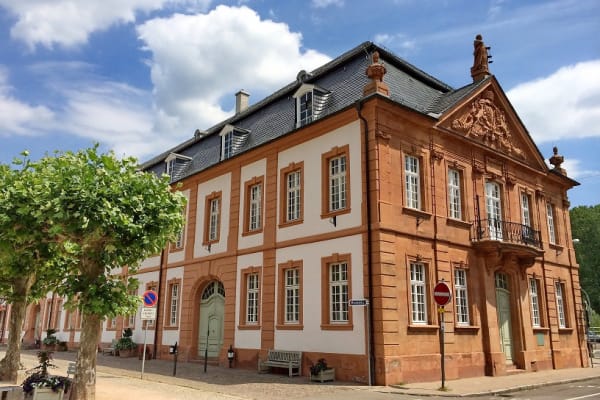8. Wein- und Käsemarkt