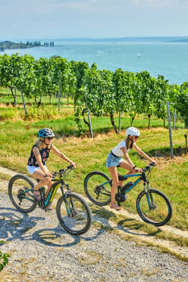 Geführte E-Bike Panorama-Tour am Überlinger See