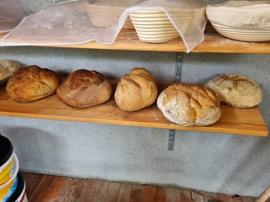Backtag in St. Fidelis