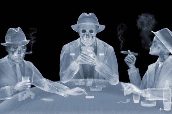 X-RAY - Der Röntgenblick in Kunst, Wissenschaft, Film, Mode und Architektur