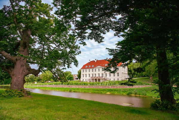 Weinbergführung Schloss Rattey mit Verkostung (Hauptsaison Mai - Oktober) Weinbergführung Schloss Rattey mit Verkostung (Hauptsaison Mai - Oktober)
